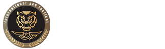 北京王牌盾保镖公司